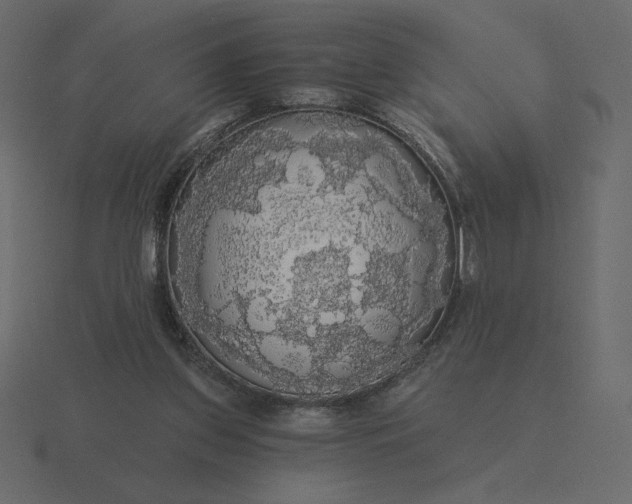 X0000116570157200912241641