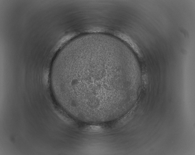 X0000116570159200912241641