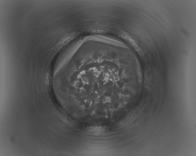 X0000116570161200912241641