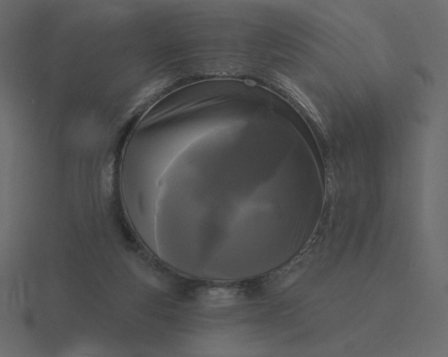 X0000116570163200912241641