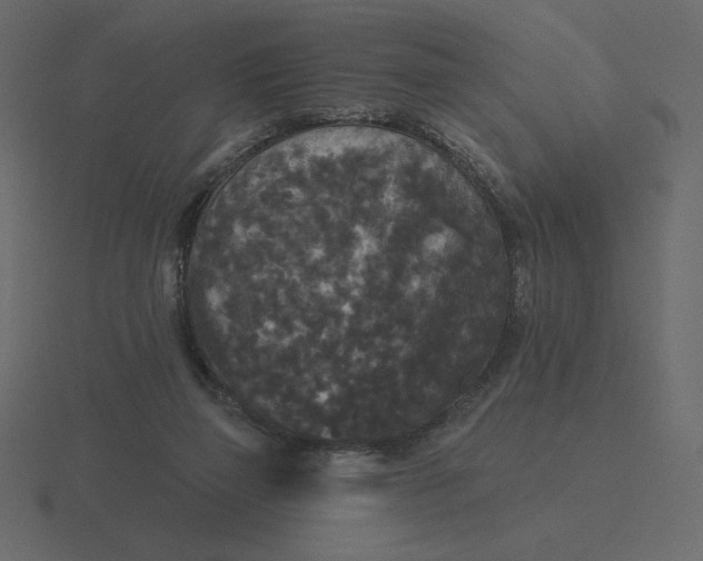 X0000116570165200912241641