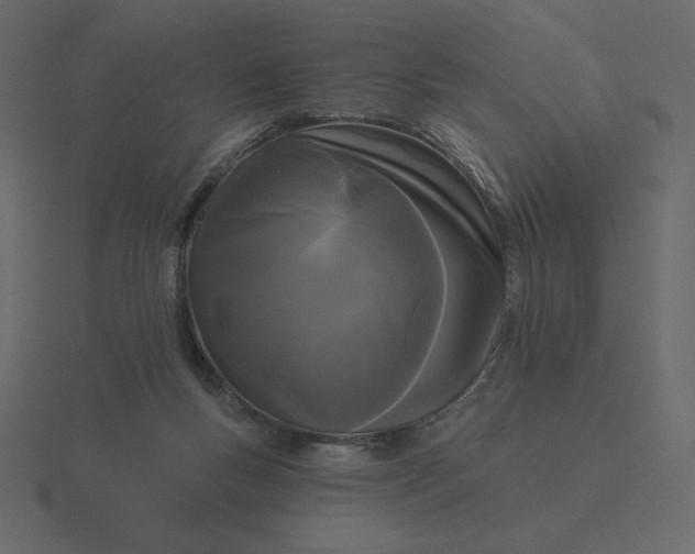 X0000116570167200912241641