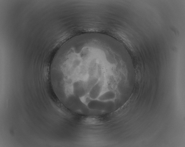 X0000116570171200912241641