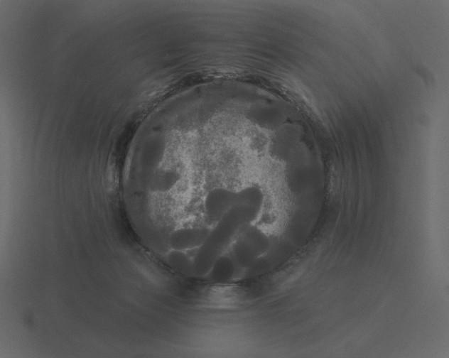 X0000116570173200912241641