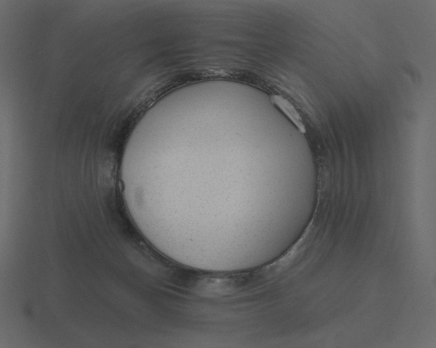 X0000116570174200912241641