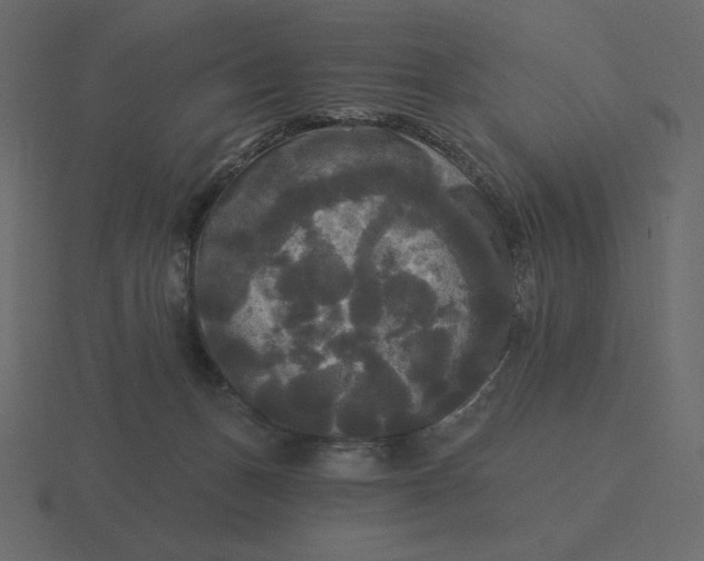 X0000116570175200912241641