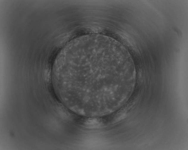 X0000116570177200912241641