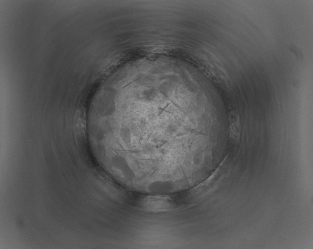 X0000116570179200912241641