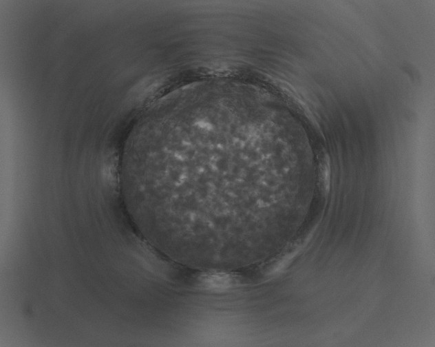 X0000116570181200912241641