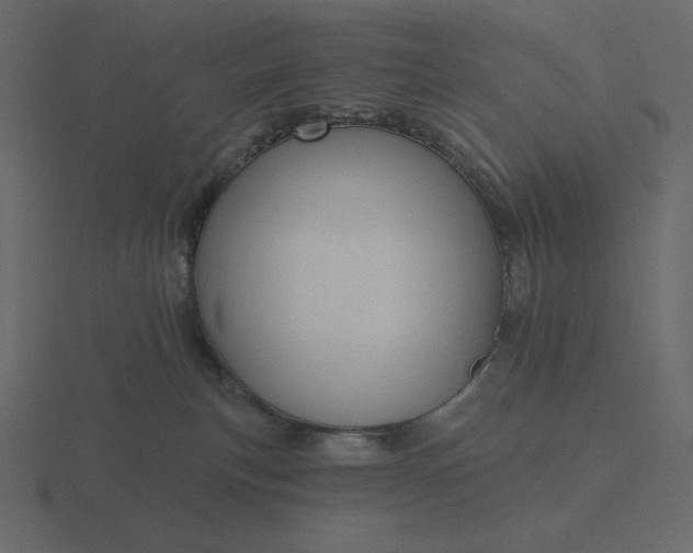 X0000116570183200912241641