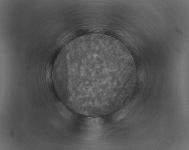 X0000116570185200912241642