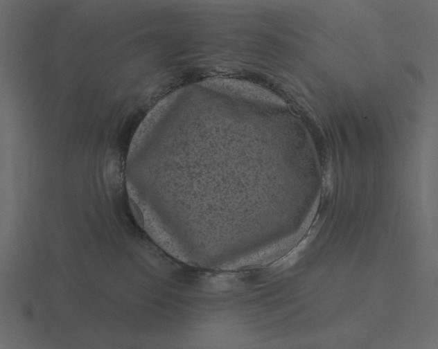 X0000116570186200912241642