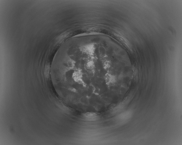 X0000116570189200912241642