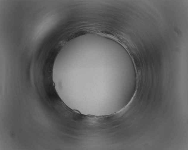 X0000116570190200912241642