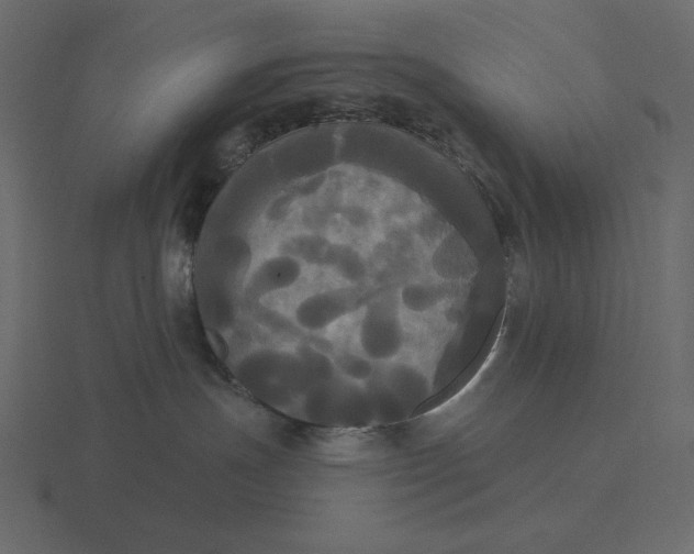 X0000116570191200912241642