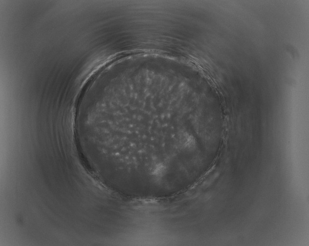 X0000116570194200912241641