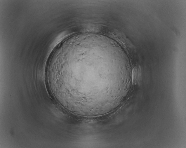 X0000116570195200912241641