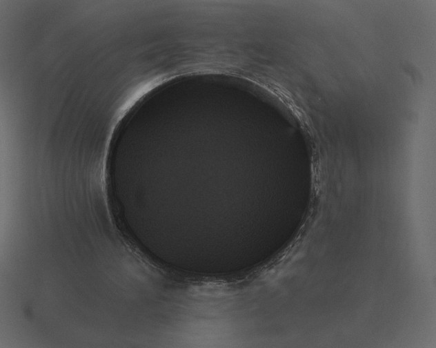 X0000116570196200912241641