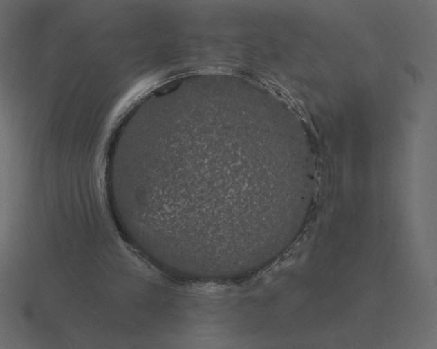 X0000116570197200912241641