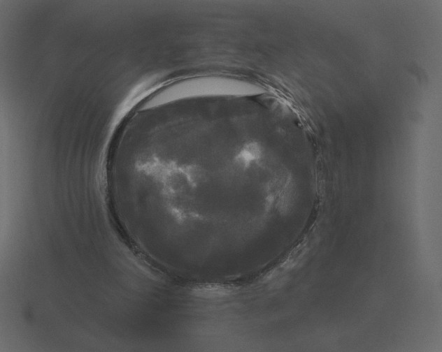 X0000116570198200912241641