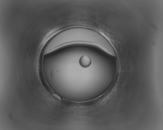 X0000116570199200912241641