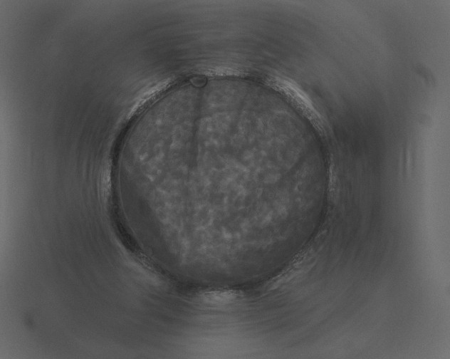 X0000116570202200912241641