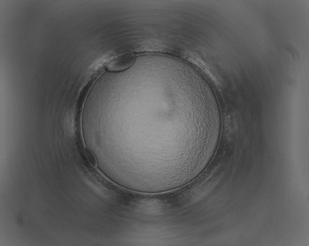 X0000116570203200912241641