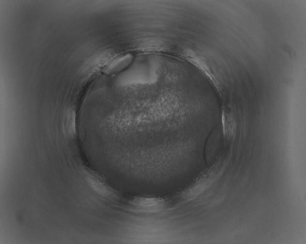 X0000116570205200912241641