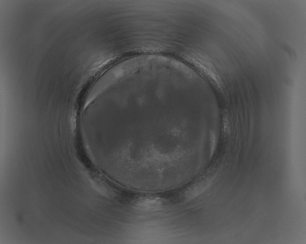 X0000116570206200912241641