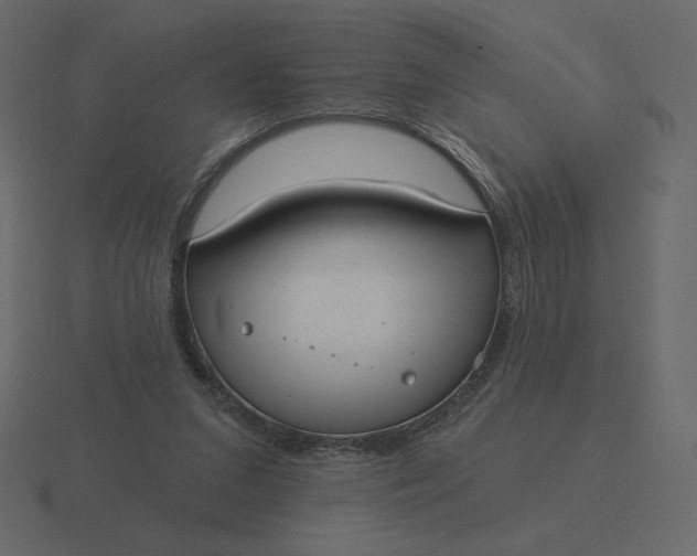 X0000116570207200912241641