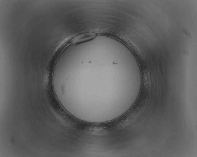 X0000116570208200912241641