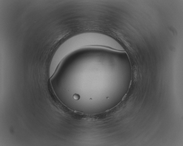 X0000116570211200912241641