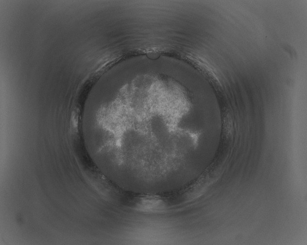 X0000116570214200912241641