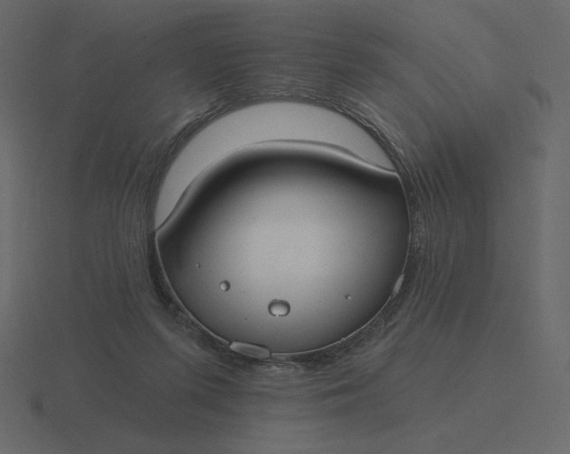 X0000116570215200912241641