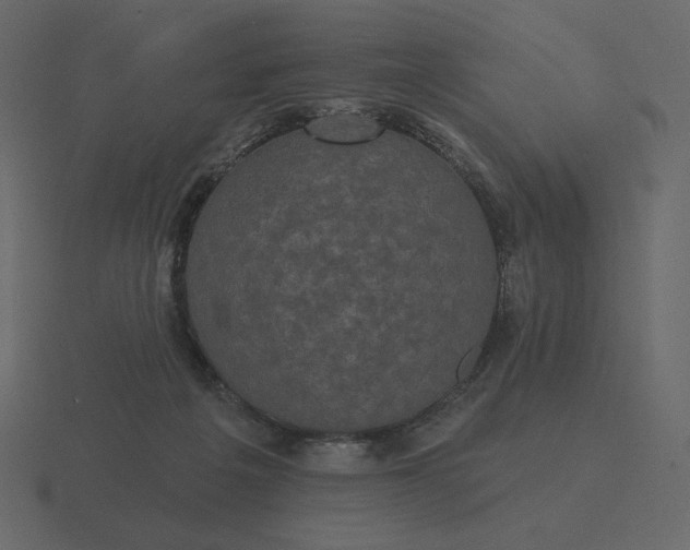 X0000116570217200912241641