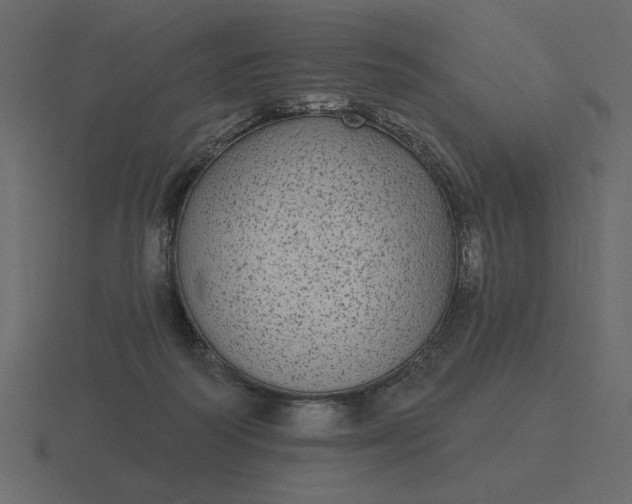 X0000116570218200912241641