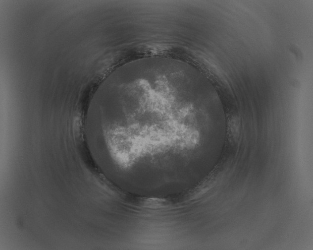 X0000116570222200912241641