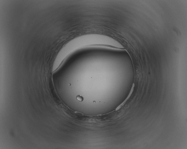 X0000116570223200912241641