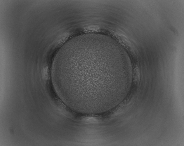 X0000116570224200912241641