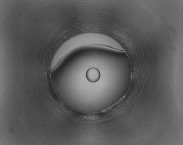 X0000116570225200912241641