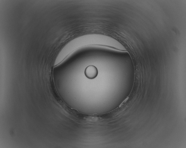 X0000116570227200912241641