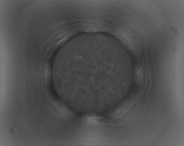 X0000116570228200912241641