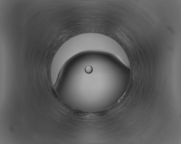 X0000116570229200912241641