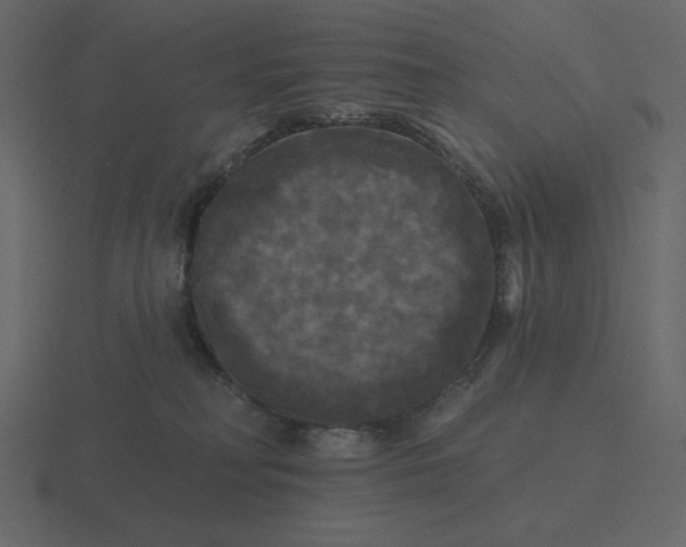 X0000116570230200912241641