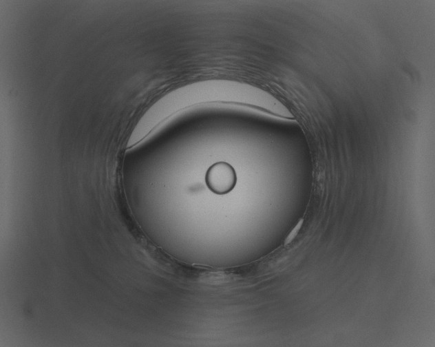 X0000116570231200912241641