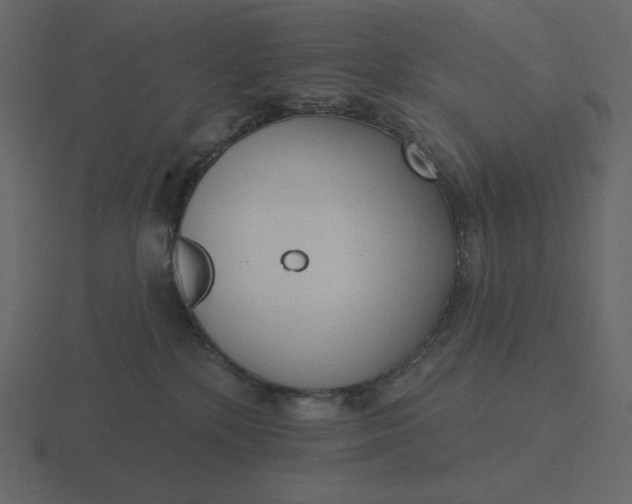 X0000116570232200912241641