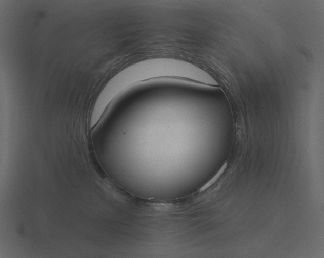 X0000116570233200912241640