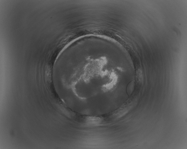 X0000116570234200912241640