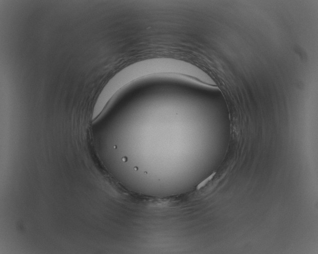 X0000116570235200912241640