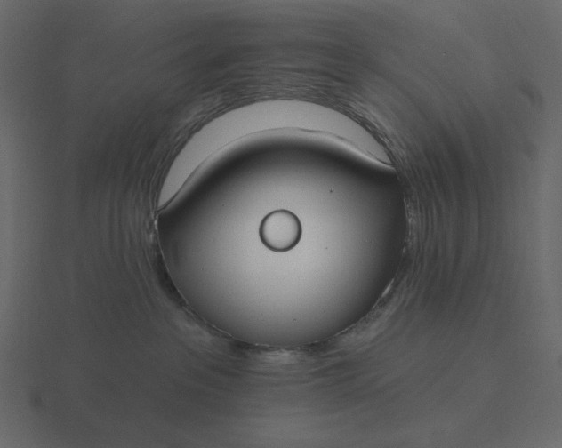 X0000116570237200912241640